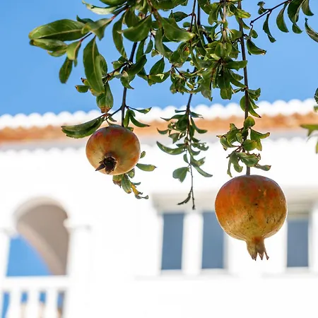 Casa Iris Βίλα Γιαβέα