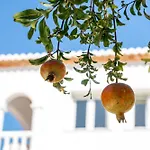 Casa Iris فيلة خافييا