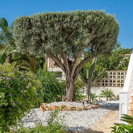 Casa Iris